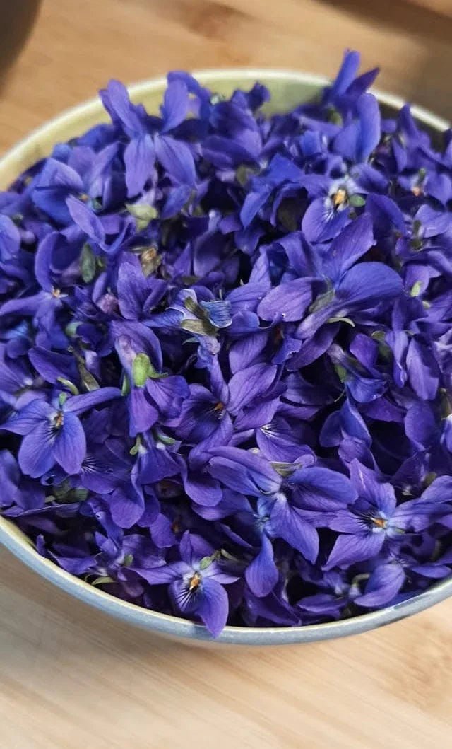 Fabrique ton sirop de violettes maison : la recette facile entre copines - Kab Lab