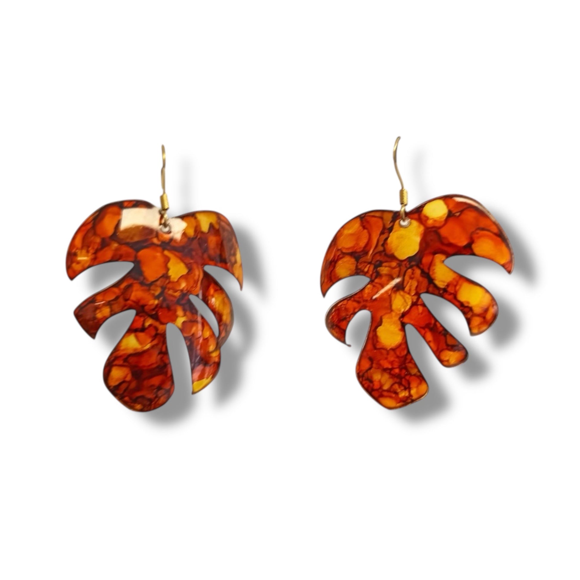 Monstera d’Automne - Kab Lab